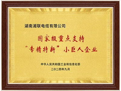 国家级专精特新“小巨人”企业